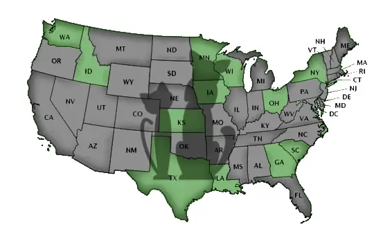 Schools by State