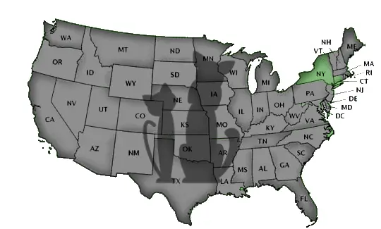 Schools by State