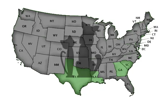 Schools by State
