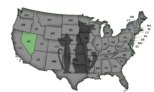Schools by State