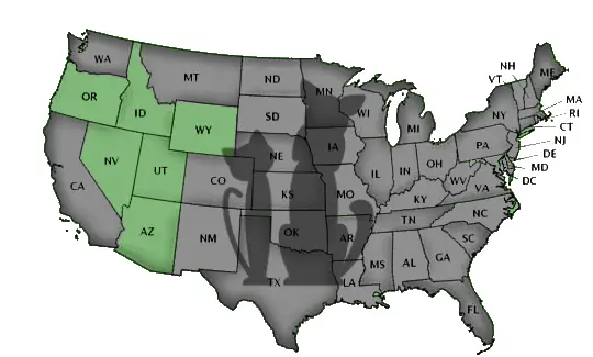 Schools by State