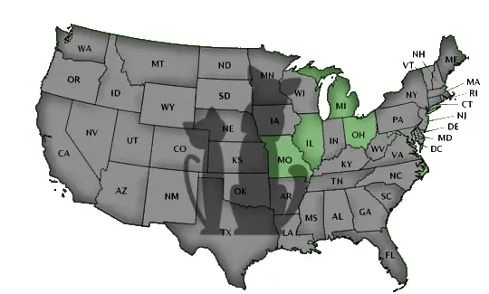 Schools by State