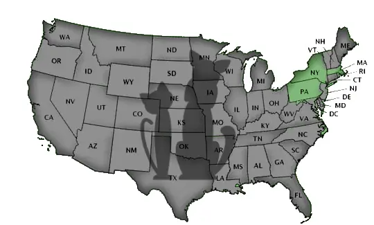 Schools by State