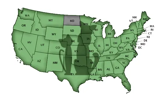 Schools by State