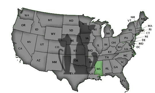 Schools by State