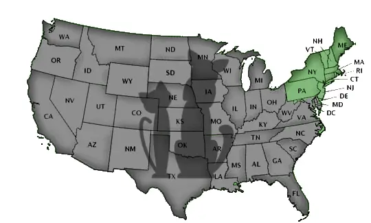Schools by State