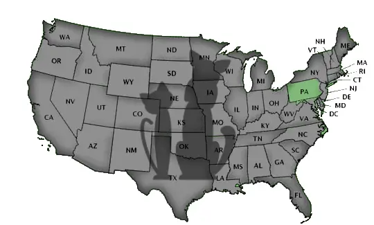Schools by State